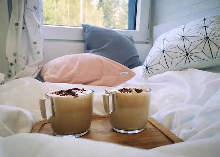 Hiona * Κοπαόνικ