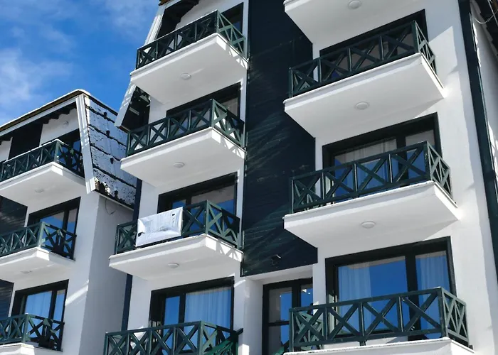 Hiona Κοπαόνικ