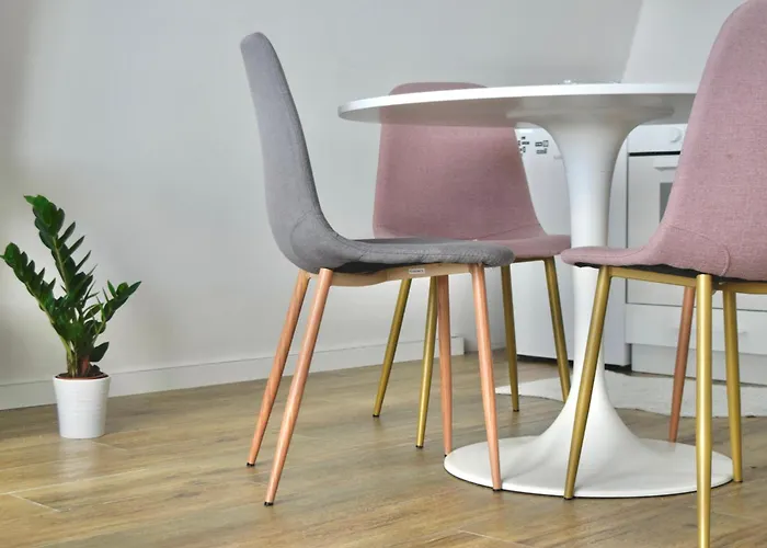 Hiona 科帕奥尼克